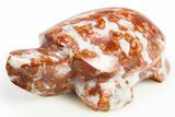 Polished Red Flower Marble Turtle - India #311886-1